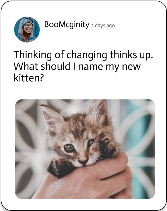 action-img-Enter Question